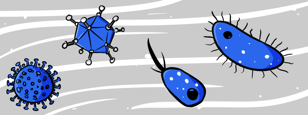 Mandelentzündung Bakteriavirus