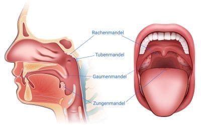 Diabète et santé bucco-dentaire : Conseils pour mieux contrôler votre glycémie