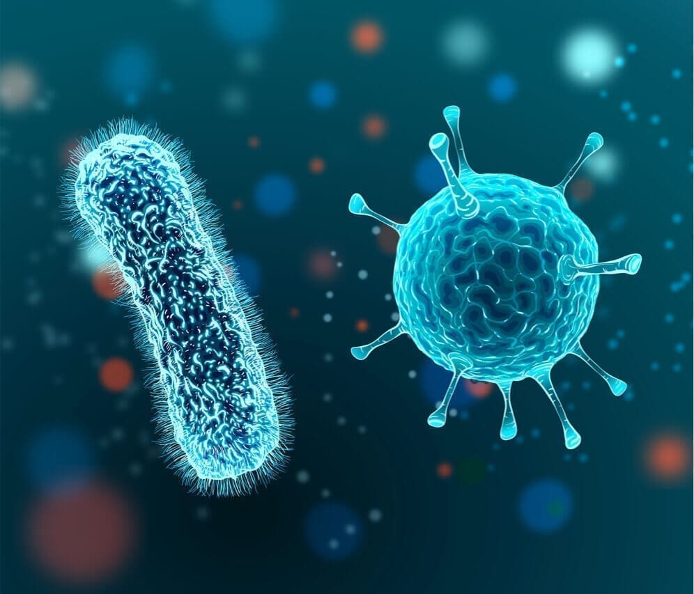 Tonsillitis Medical Bacterial or Viral